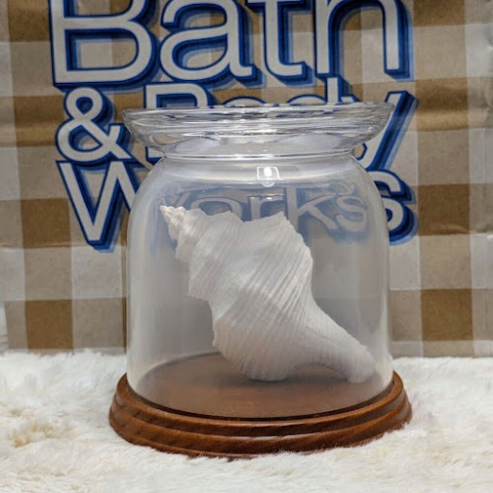 Bath & Body Works Conch Sea Shell Glass Cloche Pedestal 3-Wick Candle Holder